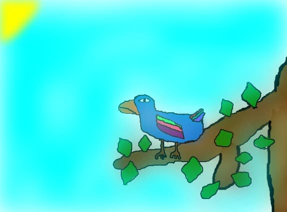 colibri