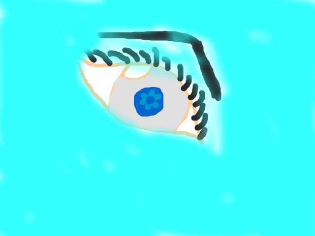 Ochi