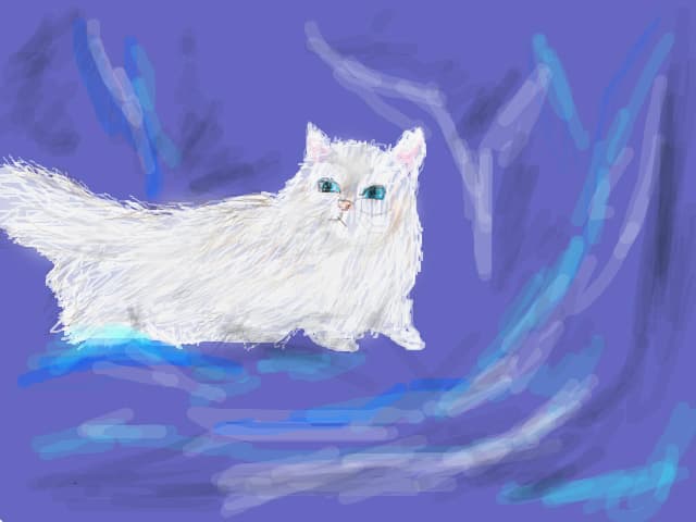 cat