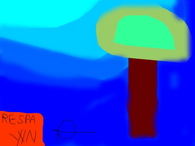 Reflectia unui pom pe lac