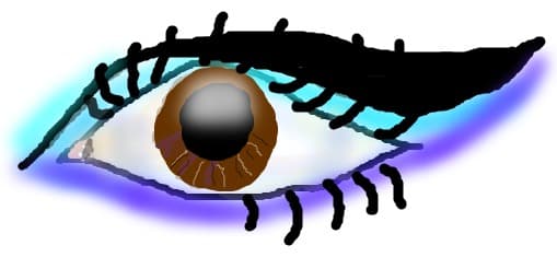 Ochi
