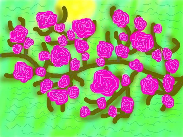 flori