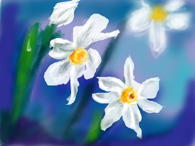 Flori
