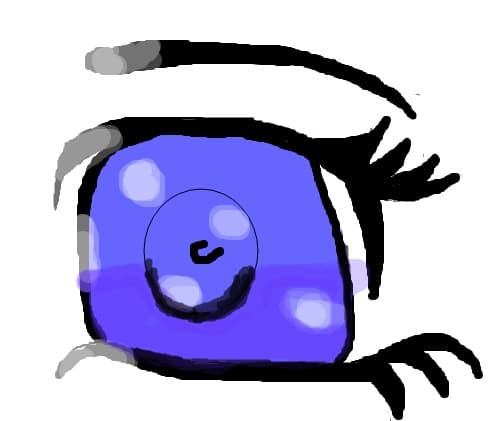 ochi