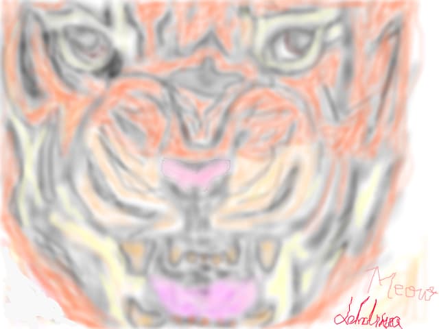 Meow