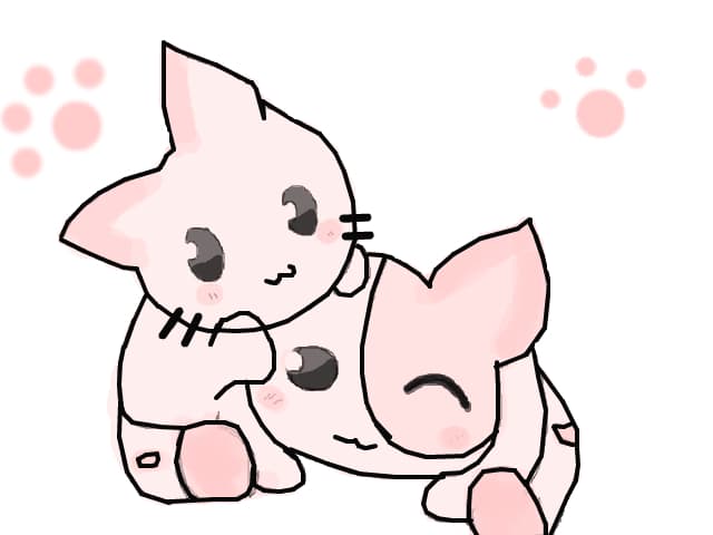 Cats