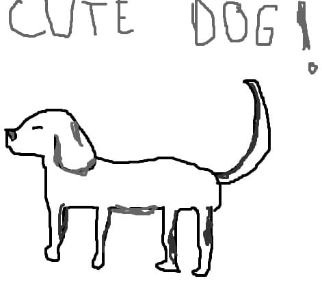 cute dog