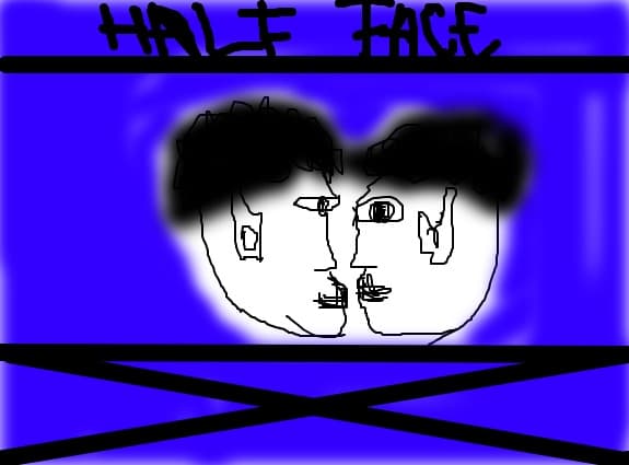 Half Face