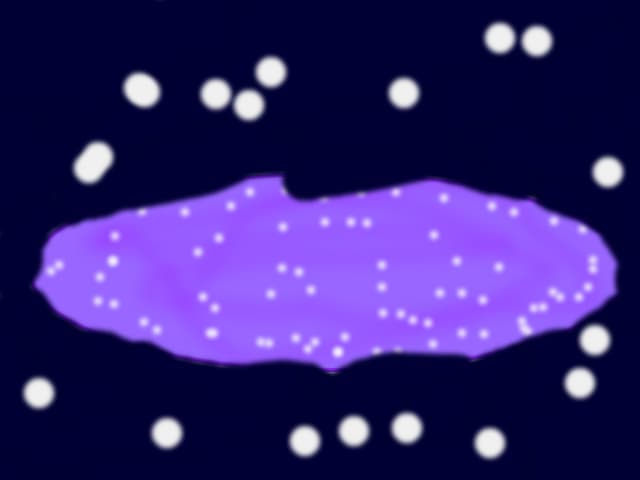 calea lacteea