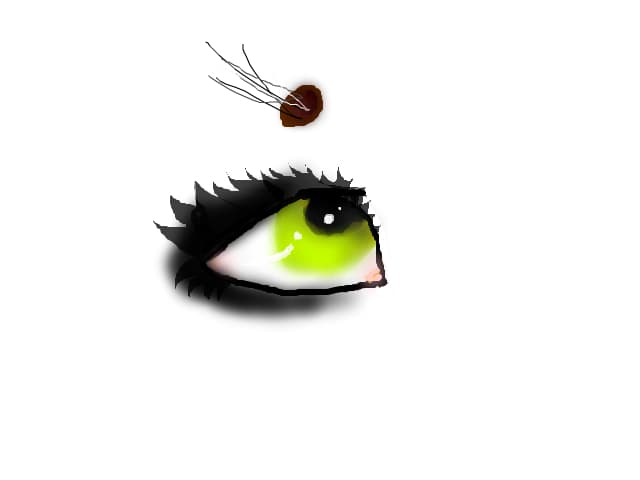emo dog eye