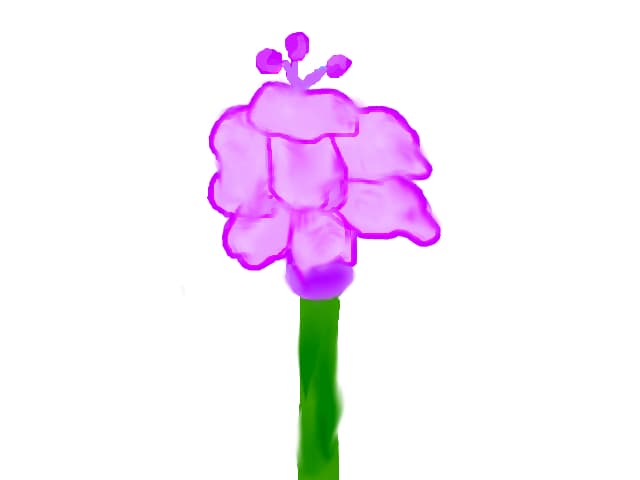 orhideea