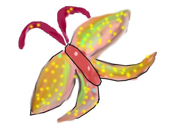 Butterfly of hope