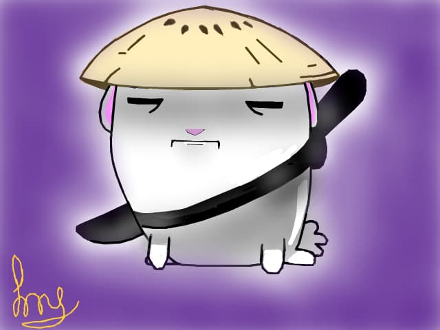 Iepurasul ninja