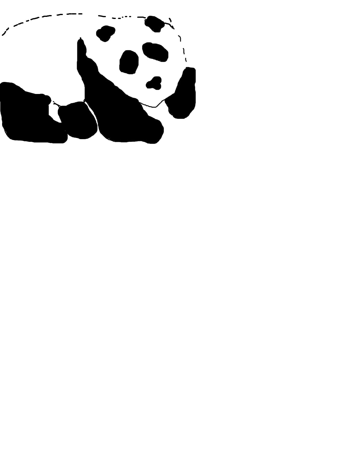 Panda bear