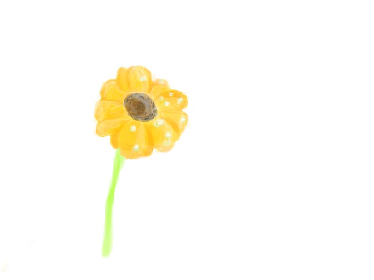 Floricica,floricea...