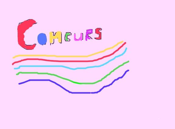 Concurs