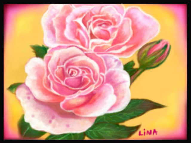 pink rose