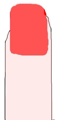 Unghie
