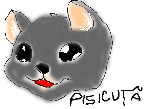 pisicuta