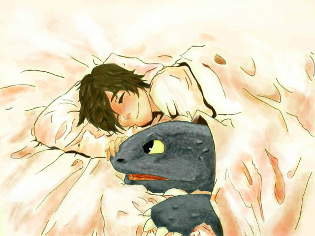 Hiccup &amp; Toothless