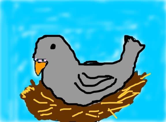 porumbel