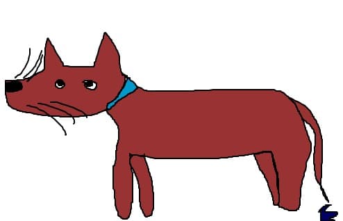 catel..