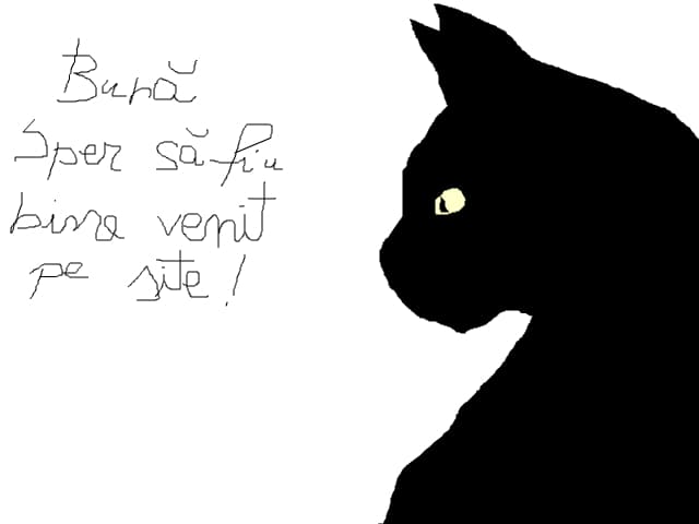 buna seara !