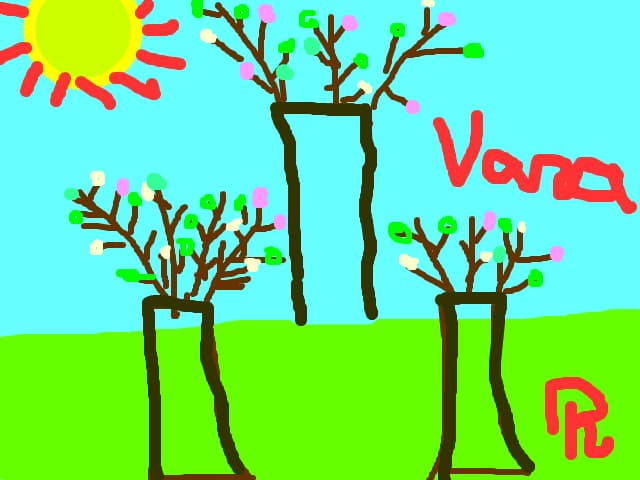 Varaa:*