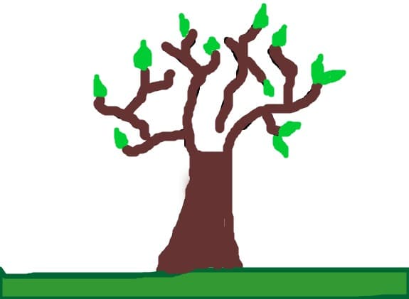 natura