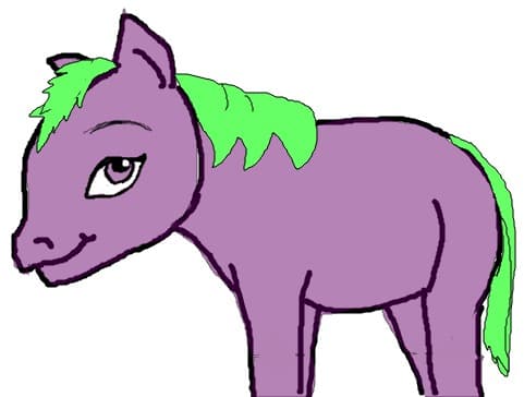un poney