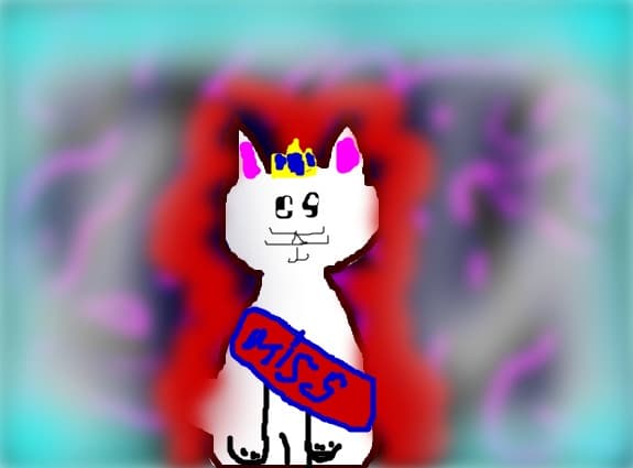 `MISS MIAU