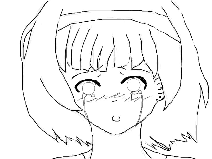 schita