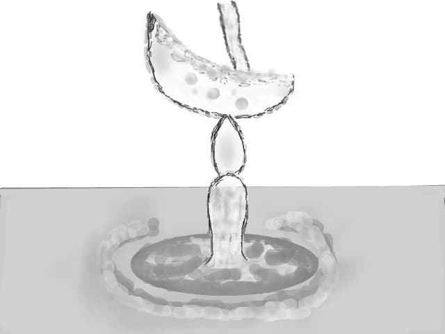 pahar