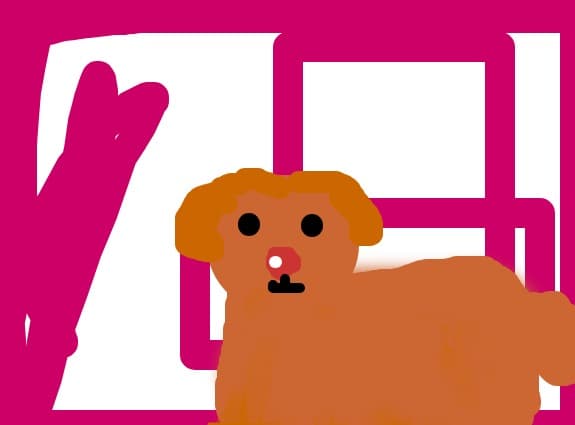 dog