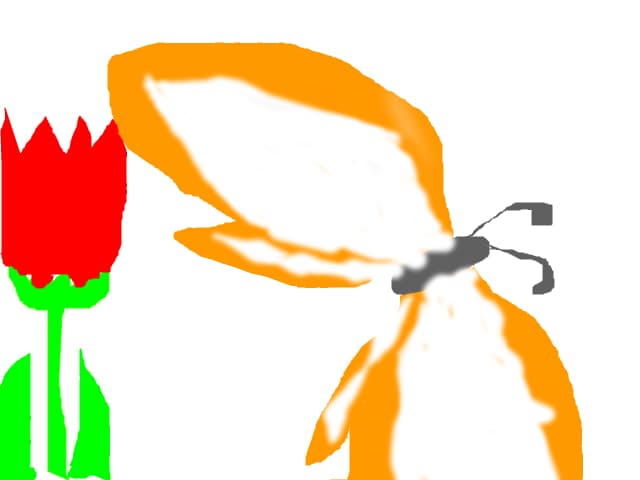 Din floare in floare