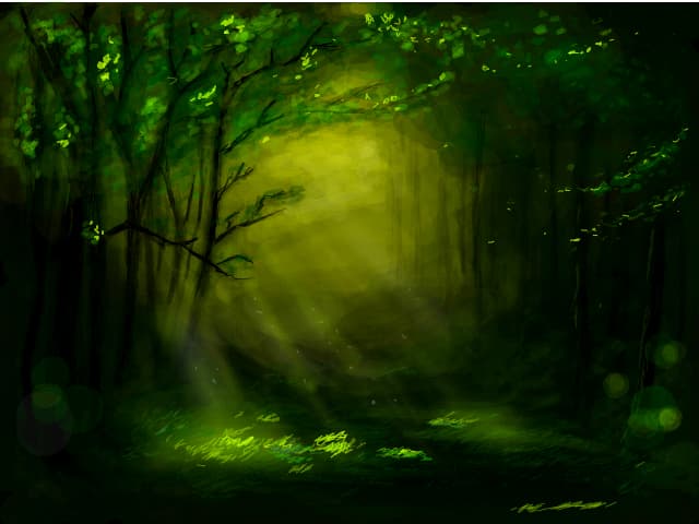 Forest