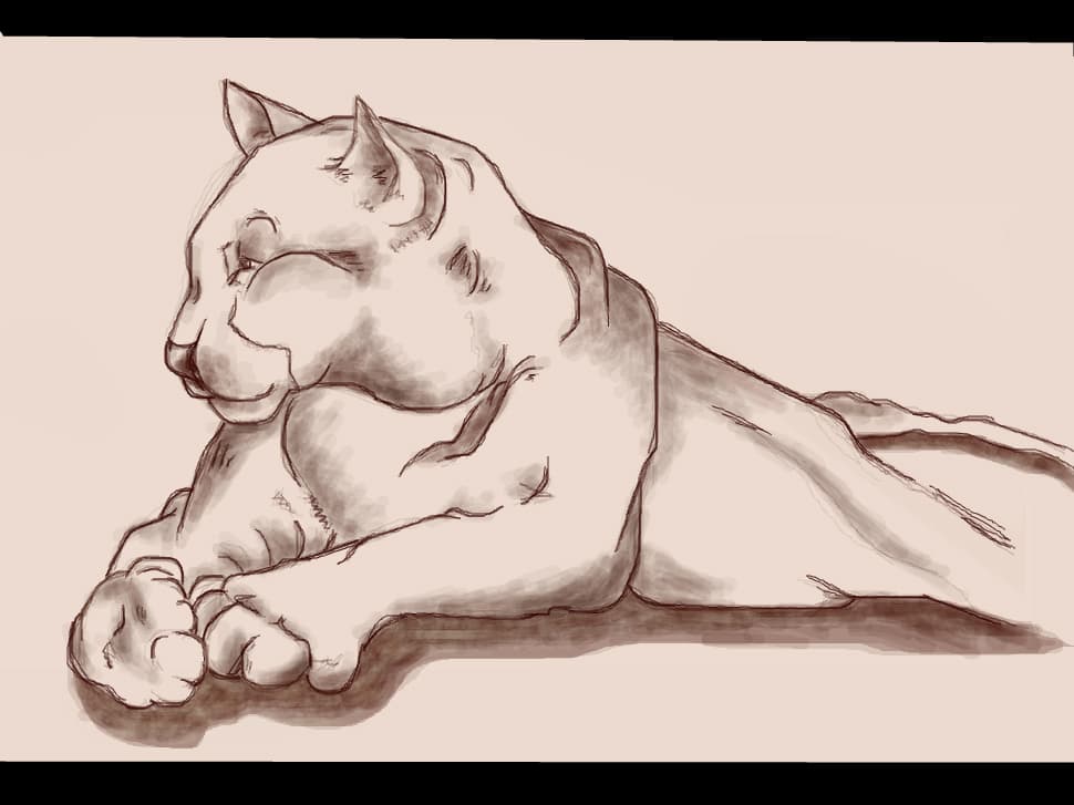 Miau ...(o sa fac si varianta color)PROMIT