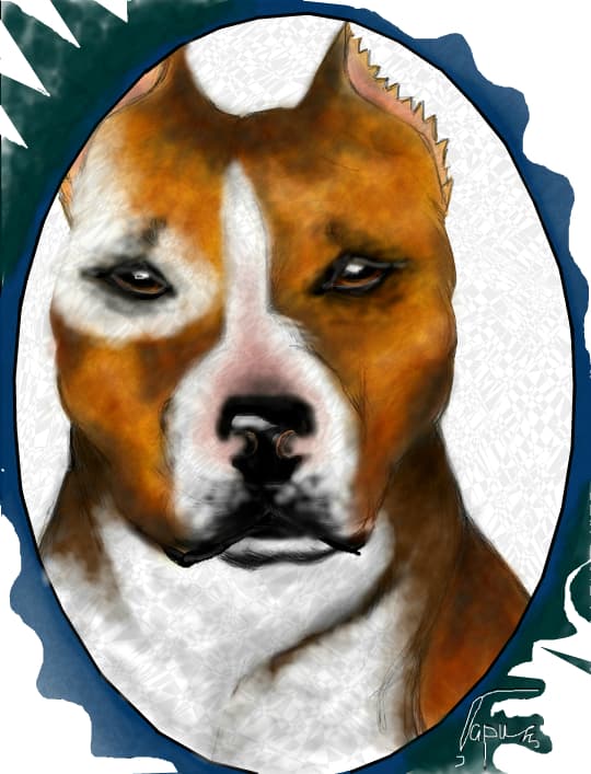Dog (refacut)