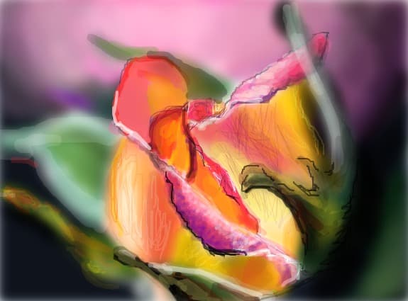 The Rose(reproduced)