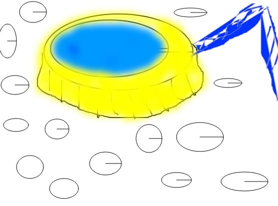 piscina cu topogan