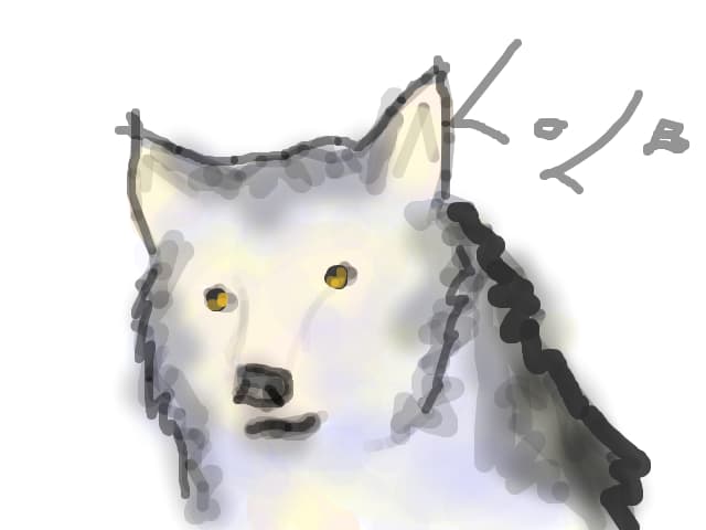 wooof