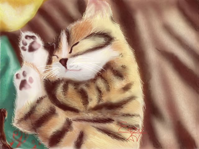 Sleeping beauty