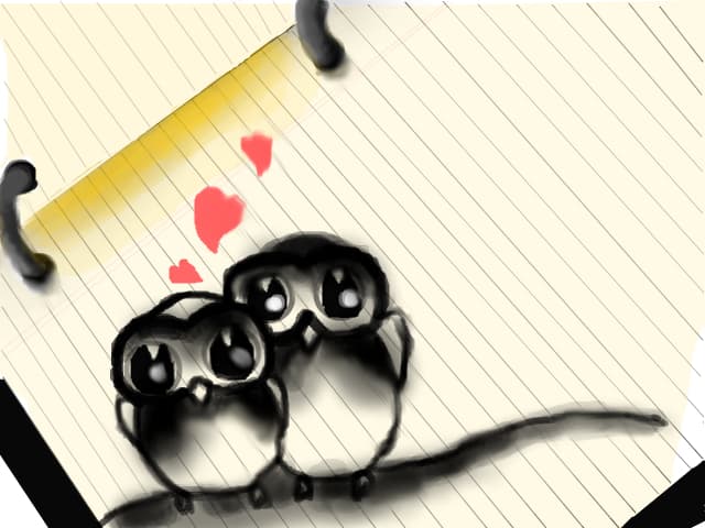 Two owls