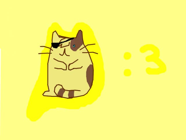 pusheen cover