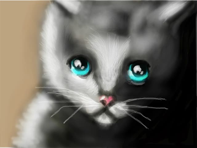 pisi