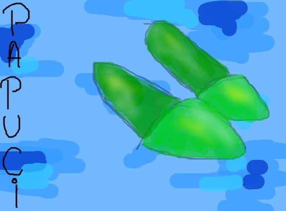 papuci