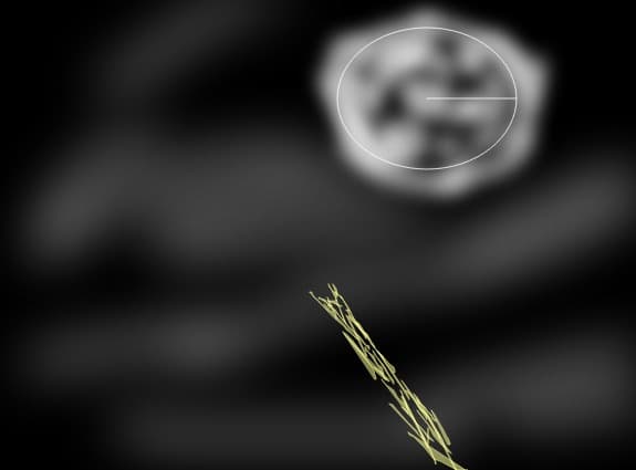 stele