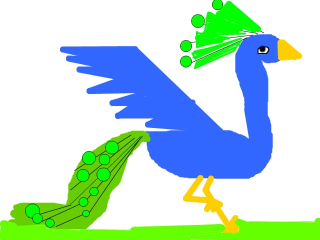 Paun