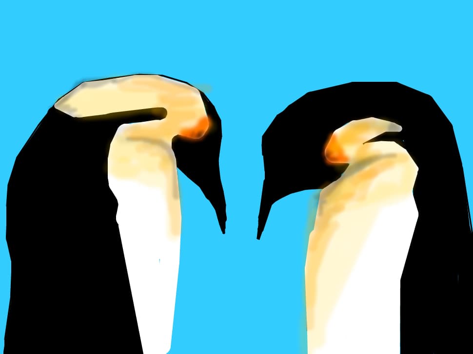 iubire de pinguini