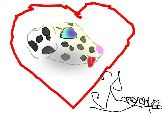 Dalmatian cu semnatura